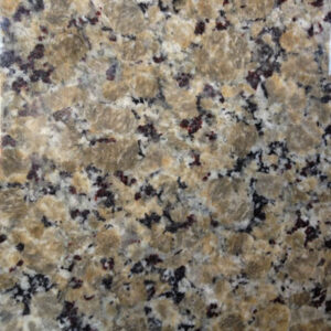 Butterfly Beige